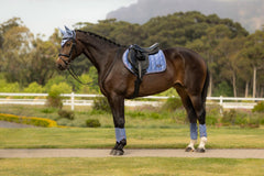 LeMieux Loire Close Contact Square - Seasonal Collections