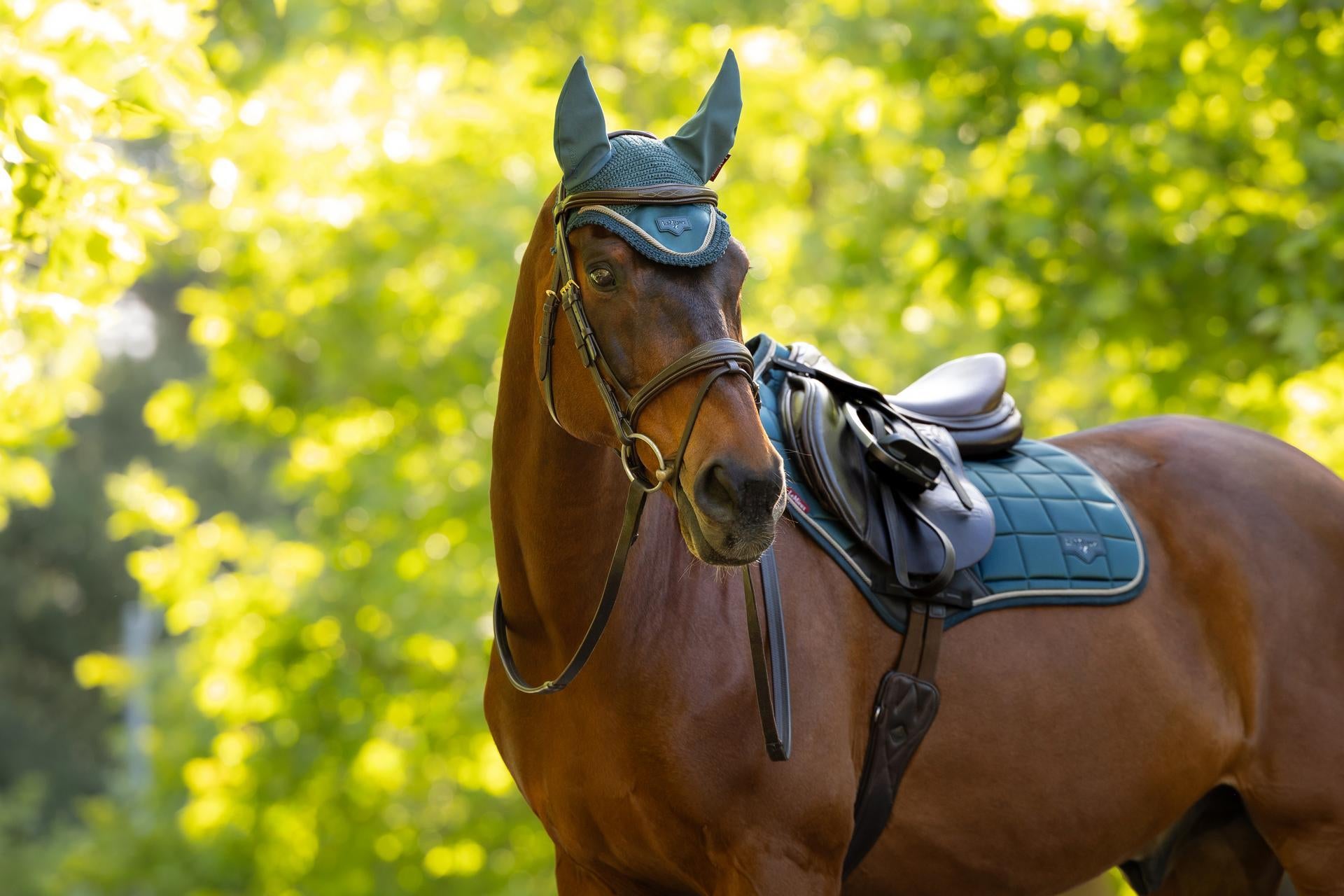 LeMieux Loire Close Contact Square - Seasonal Collections