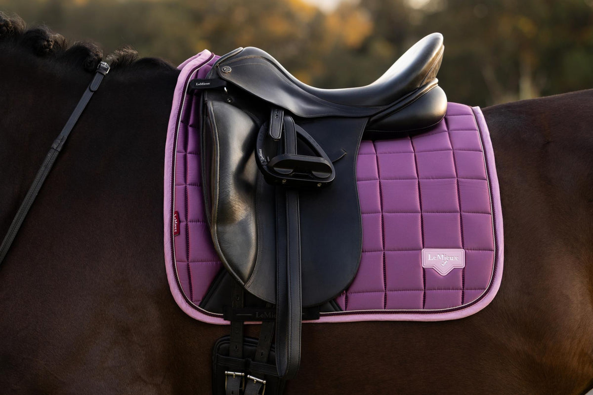 LeMieux Loire Classic Dressage Square
