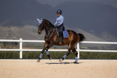 LeMieux Loire Classic Dressage Square