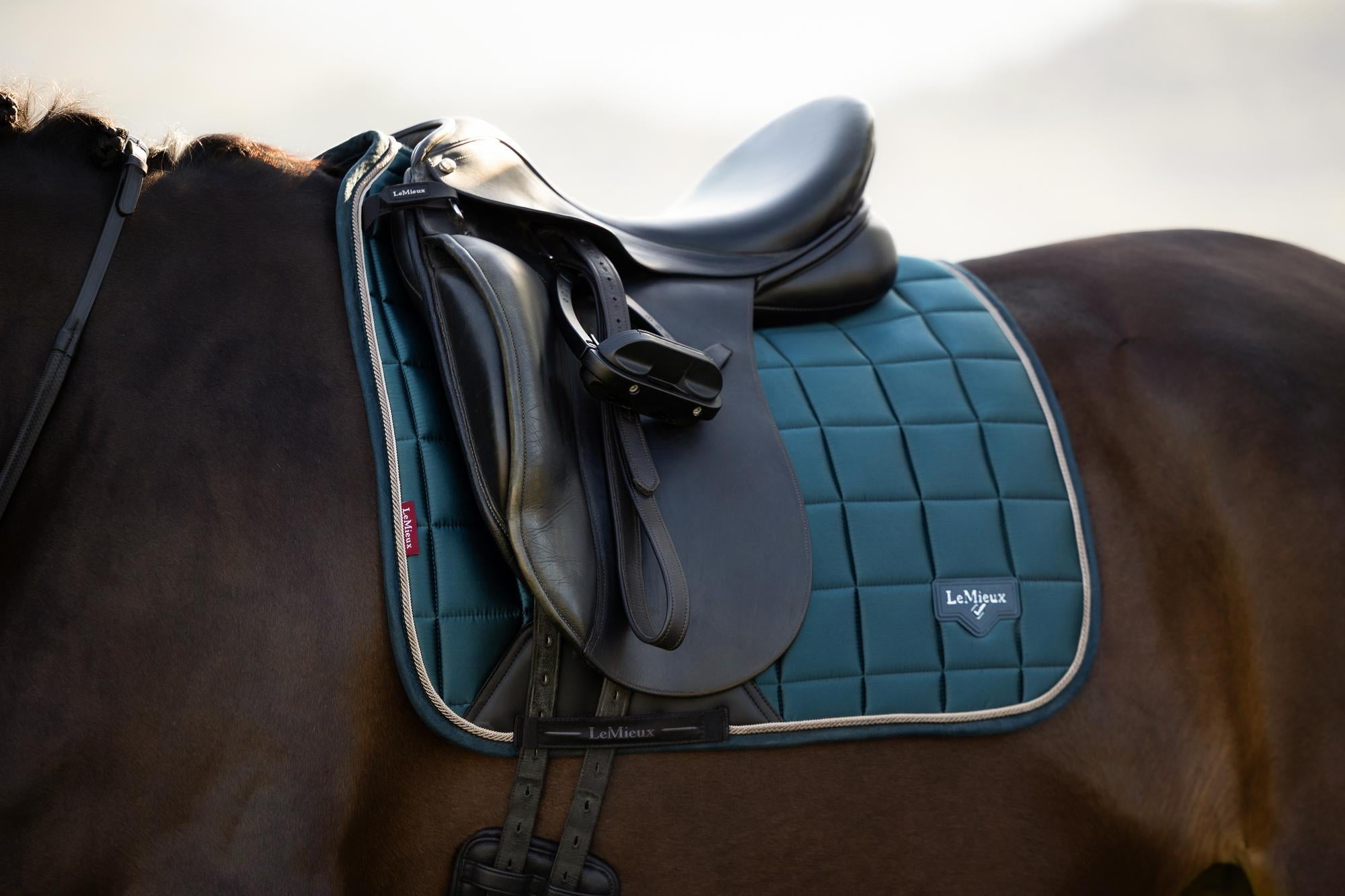 LeMieux Loire Classic Dressage Square