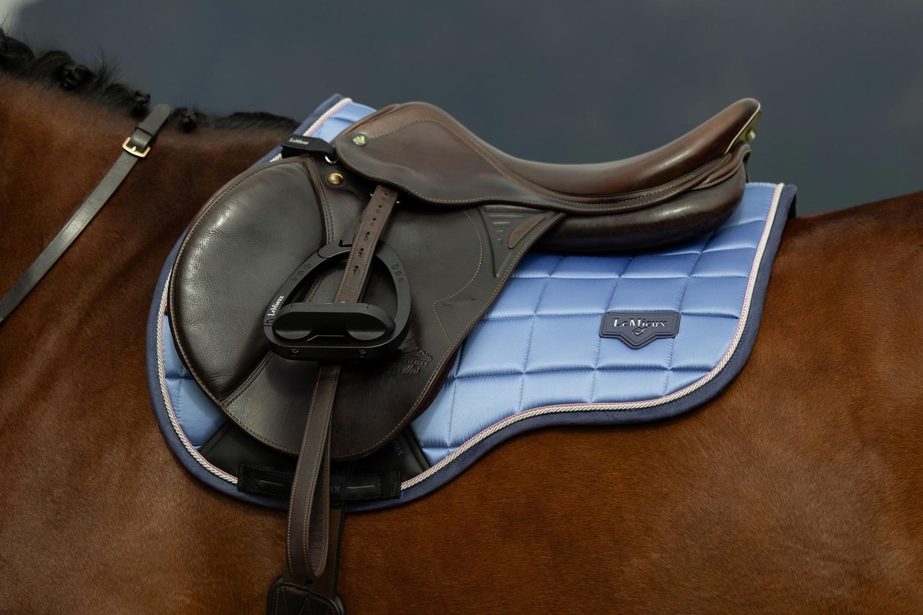 LeMieux Loire Classic GP Square