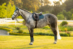 LeMieux Loire Classic GP Square