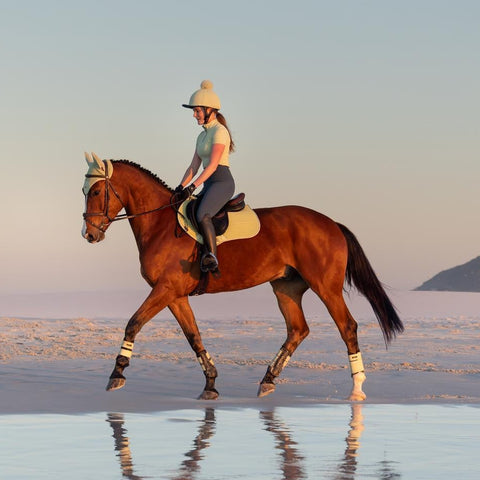 LeMieux Classique Short Sleeve Base Layer