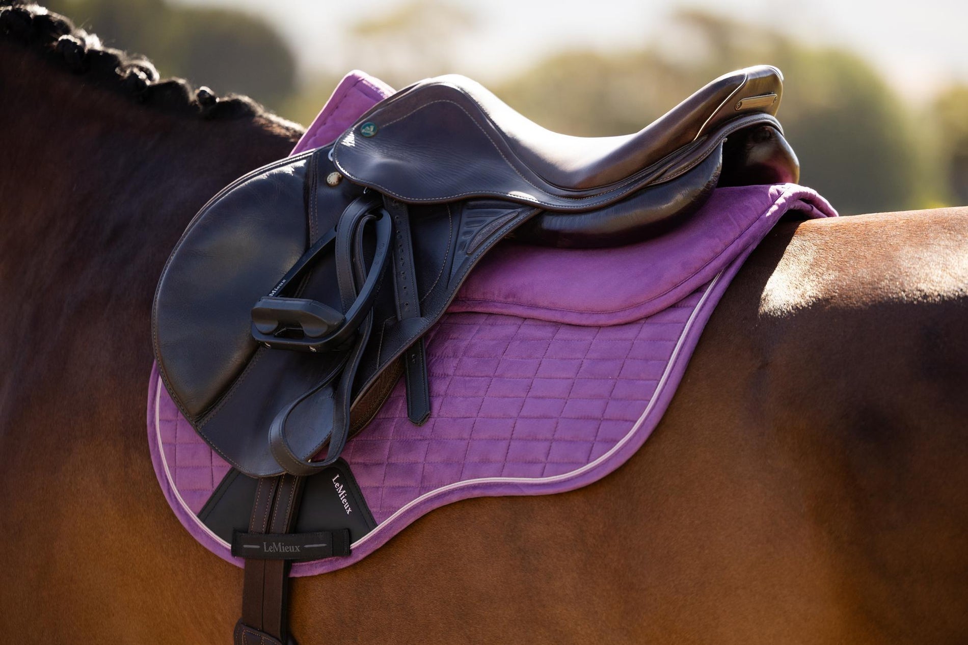 LeMieux Suede Half Pad