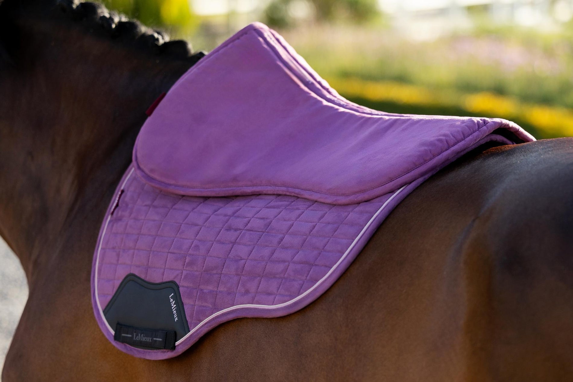 LeMieux Suede Half Pad