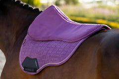 LeMieux Suede Half Pad