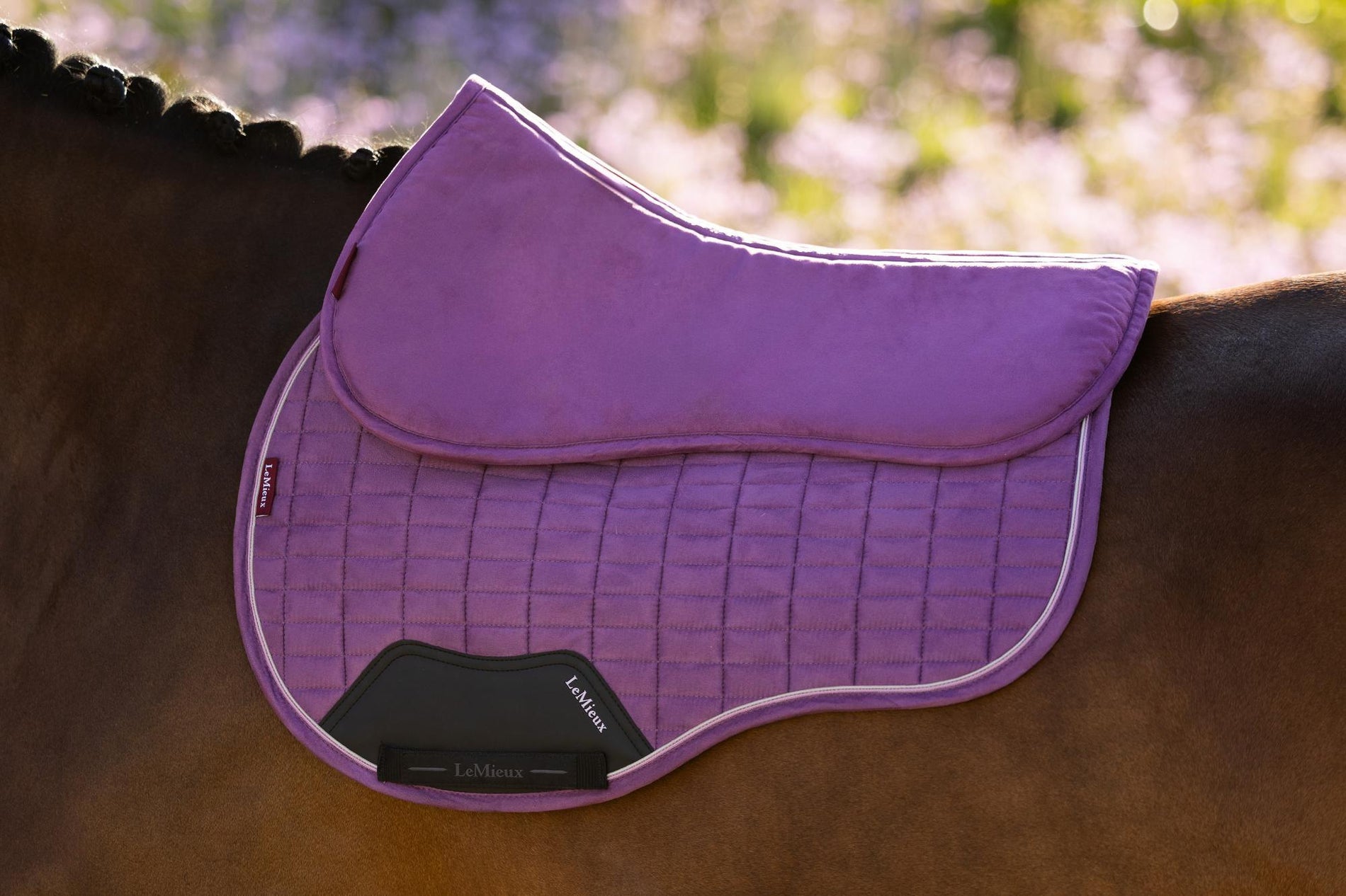 LeMieux Suede Half Pad