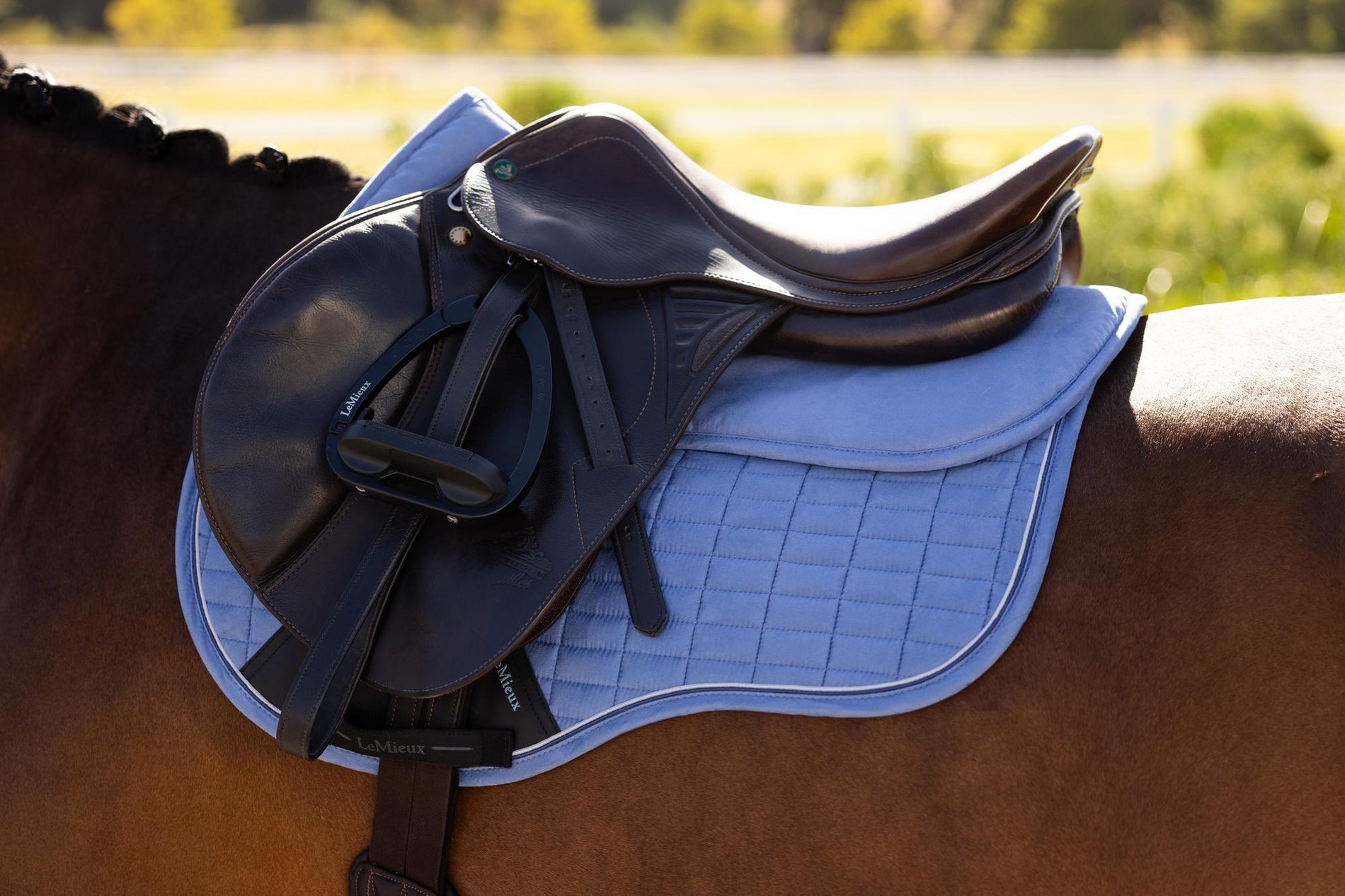 LeMieux Suede Half Pad