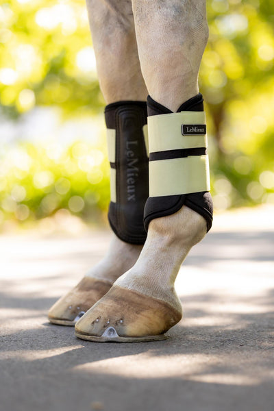 LeMieux Air-Tek Grafter Brushing Boot