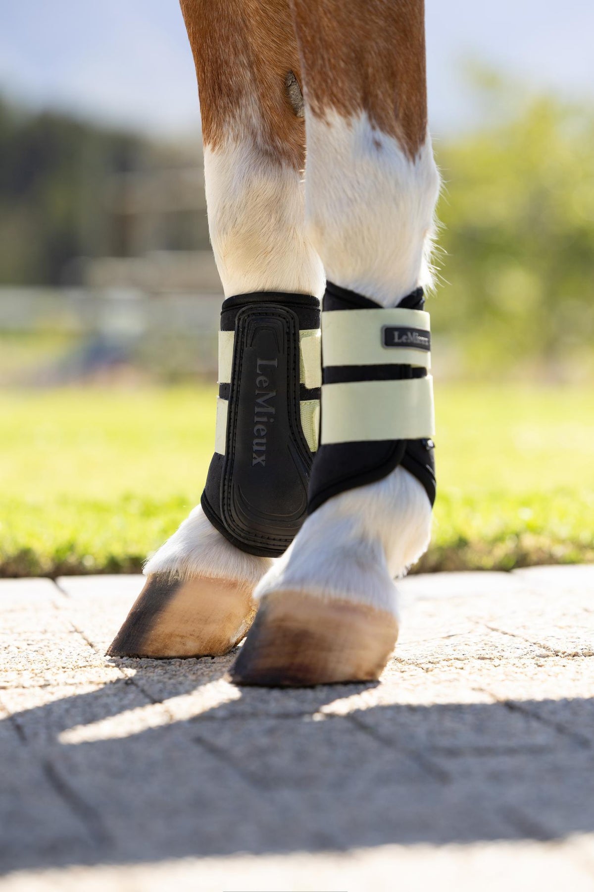 LeMieux Mini Air-Tek Grafter Brushing Boots
