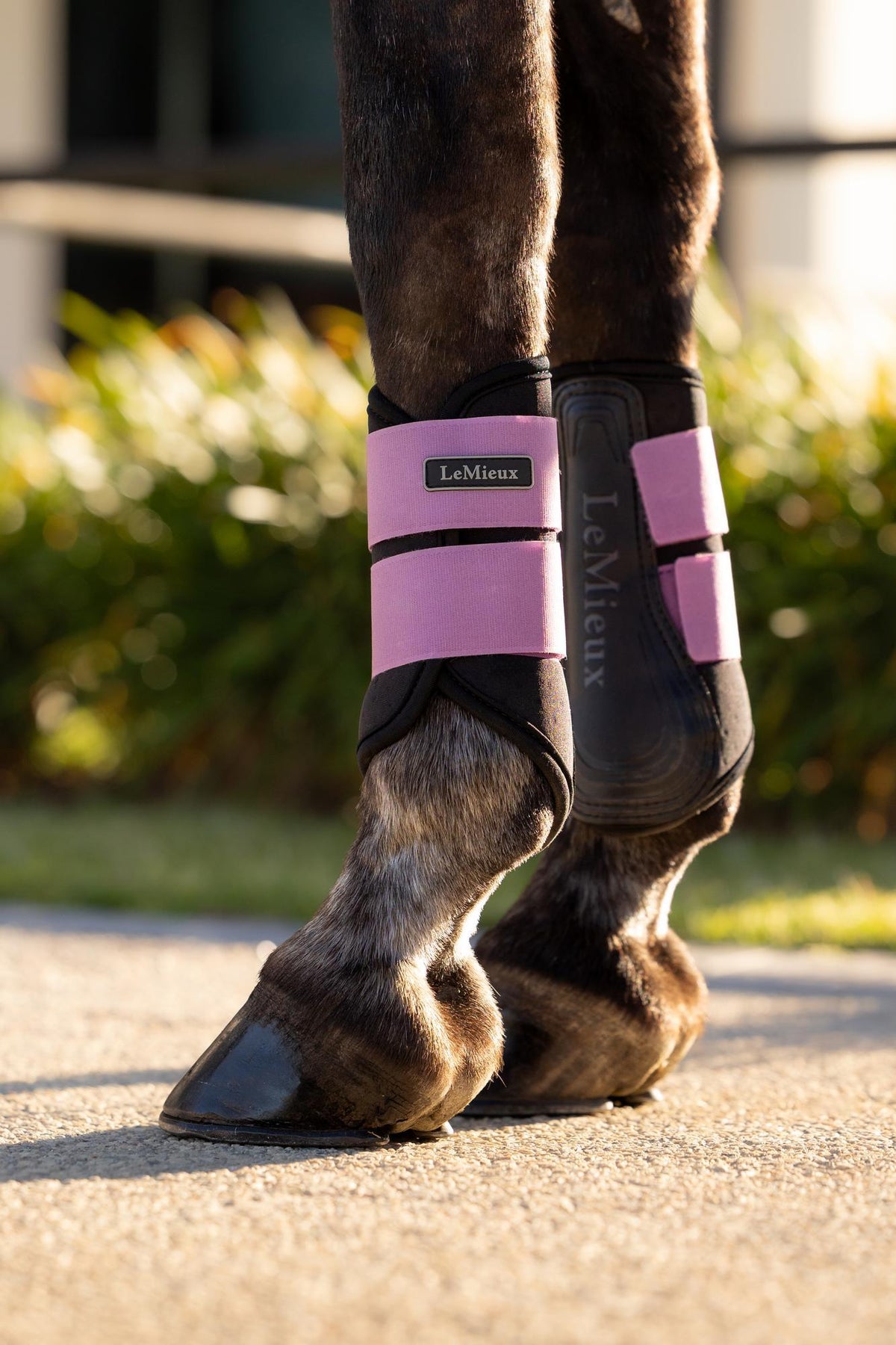 LeMieux Air-Tek Grafter Brushing Boot