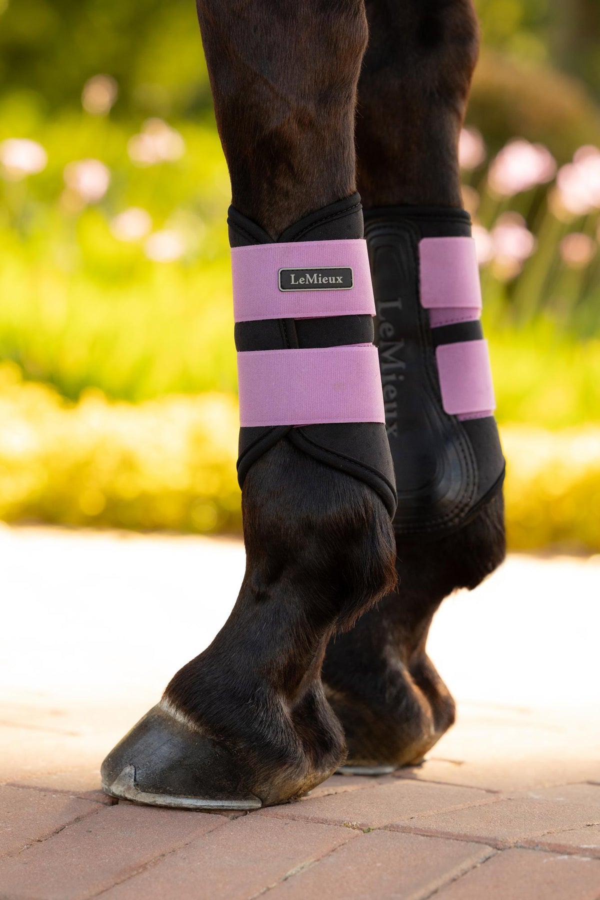 LeMieux Air-Tek Grafter Brushing Boot