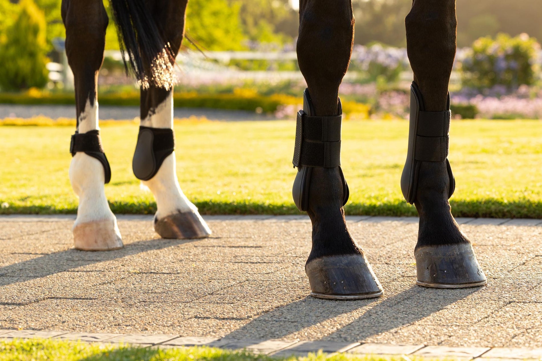 LeMieux Arika Tendon Boot