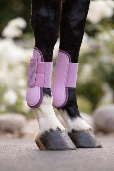 LeMieux Arika Tendon Boot