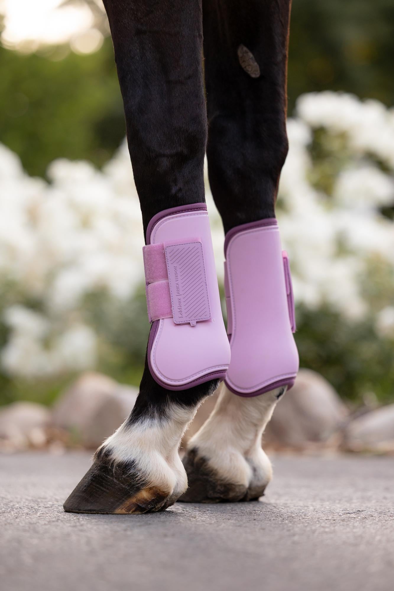 LeMieux Arika Tendon Boot