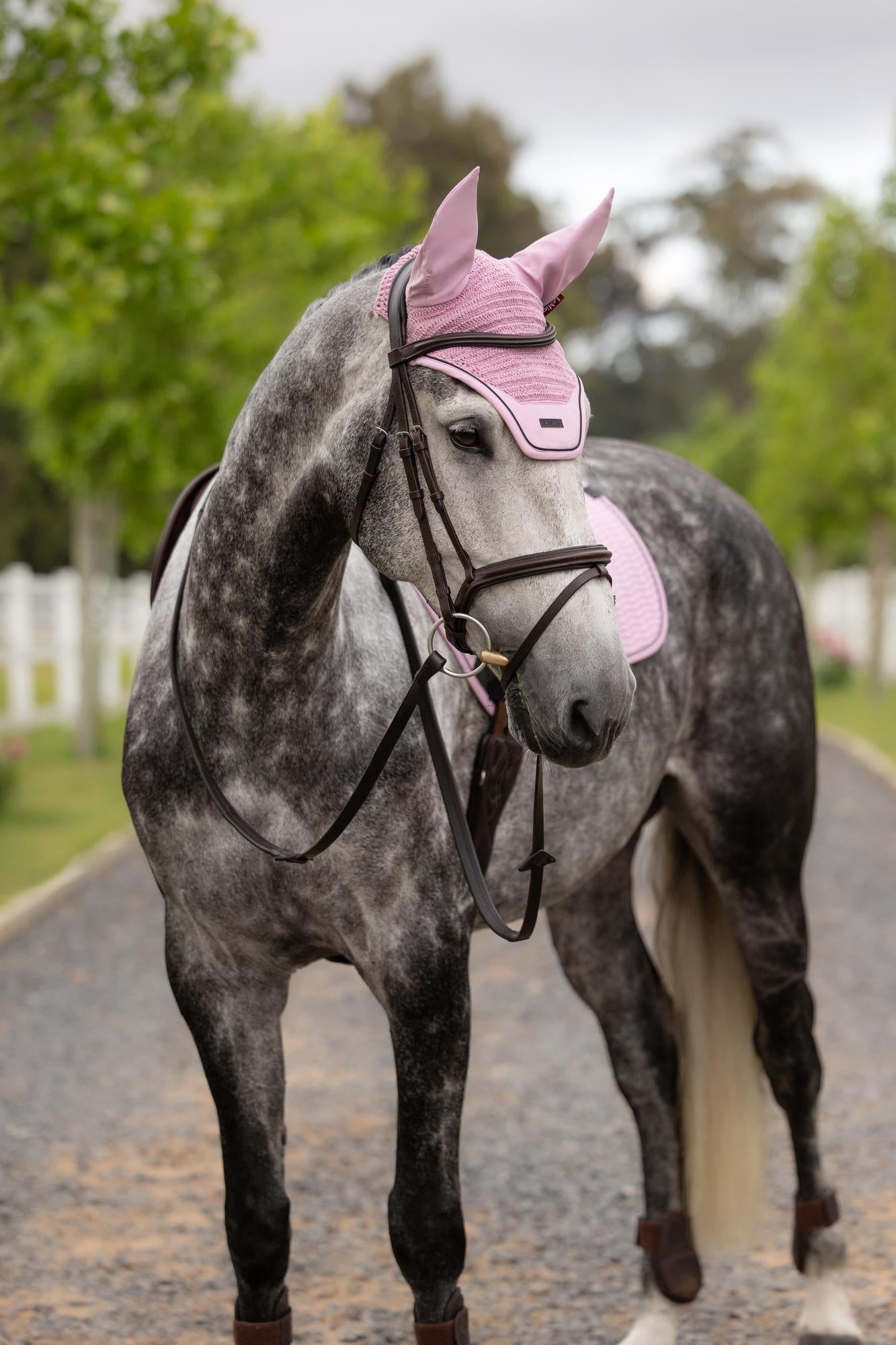 LeMieux Essence Acoustic Fly Hood
