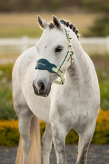 LeMieux Mini Vogue Headcollar