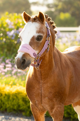LeMieux Mini Vogue Headcollar