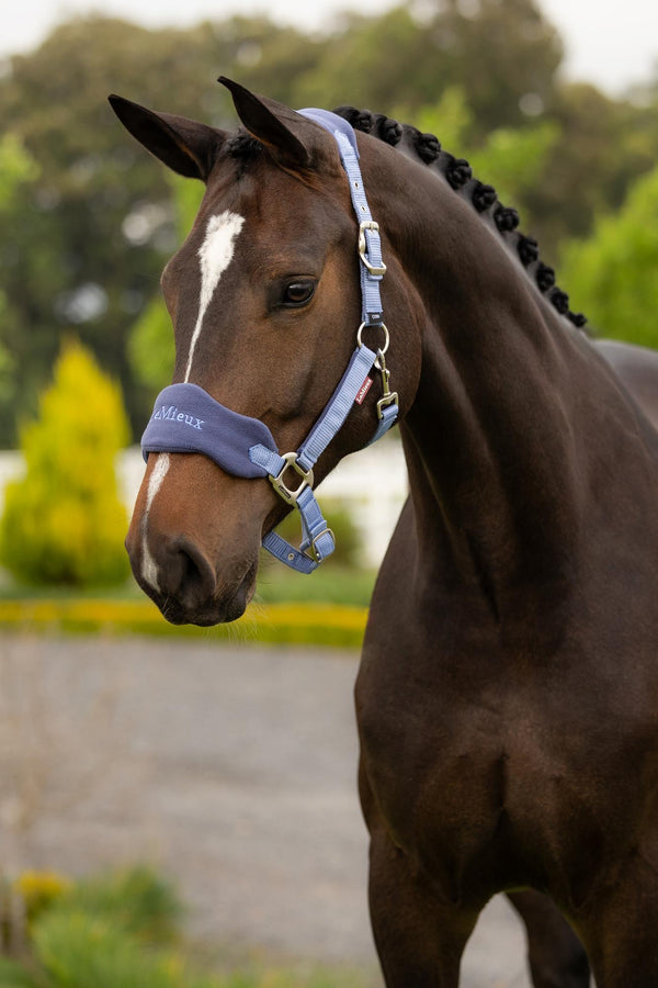 Vogue Headcollar & Rope