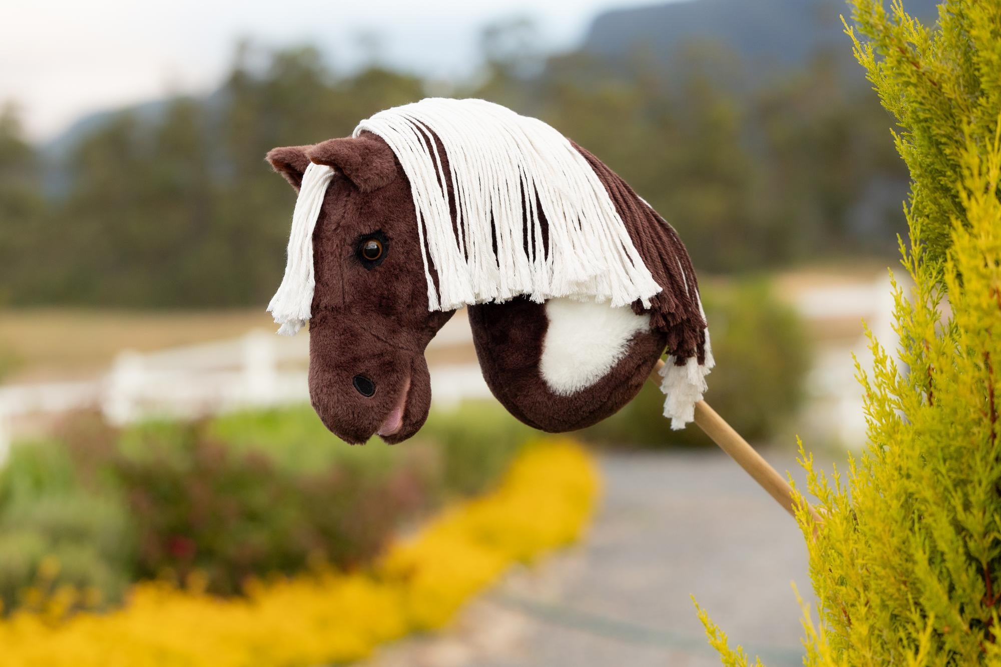 LeMieux Hobby Horses