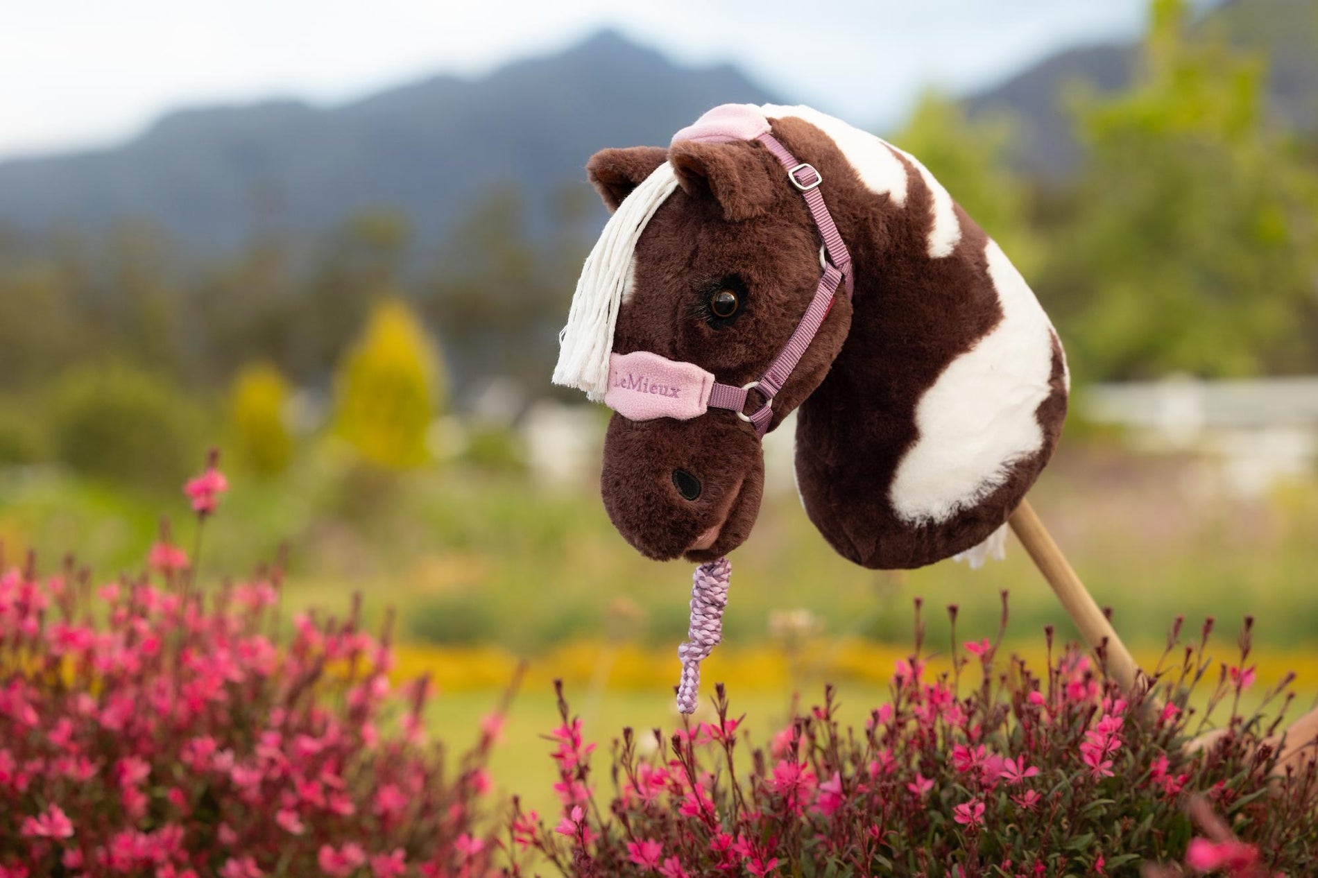 LeMieux Hobby Horse Headcollar