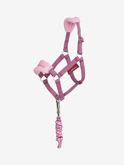 LeMieux Hobby Horse Headcollar