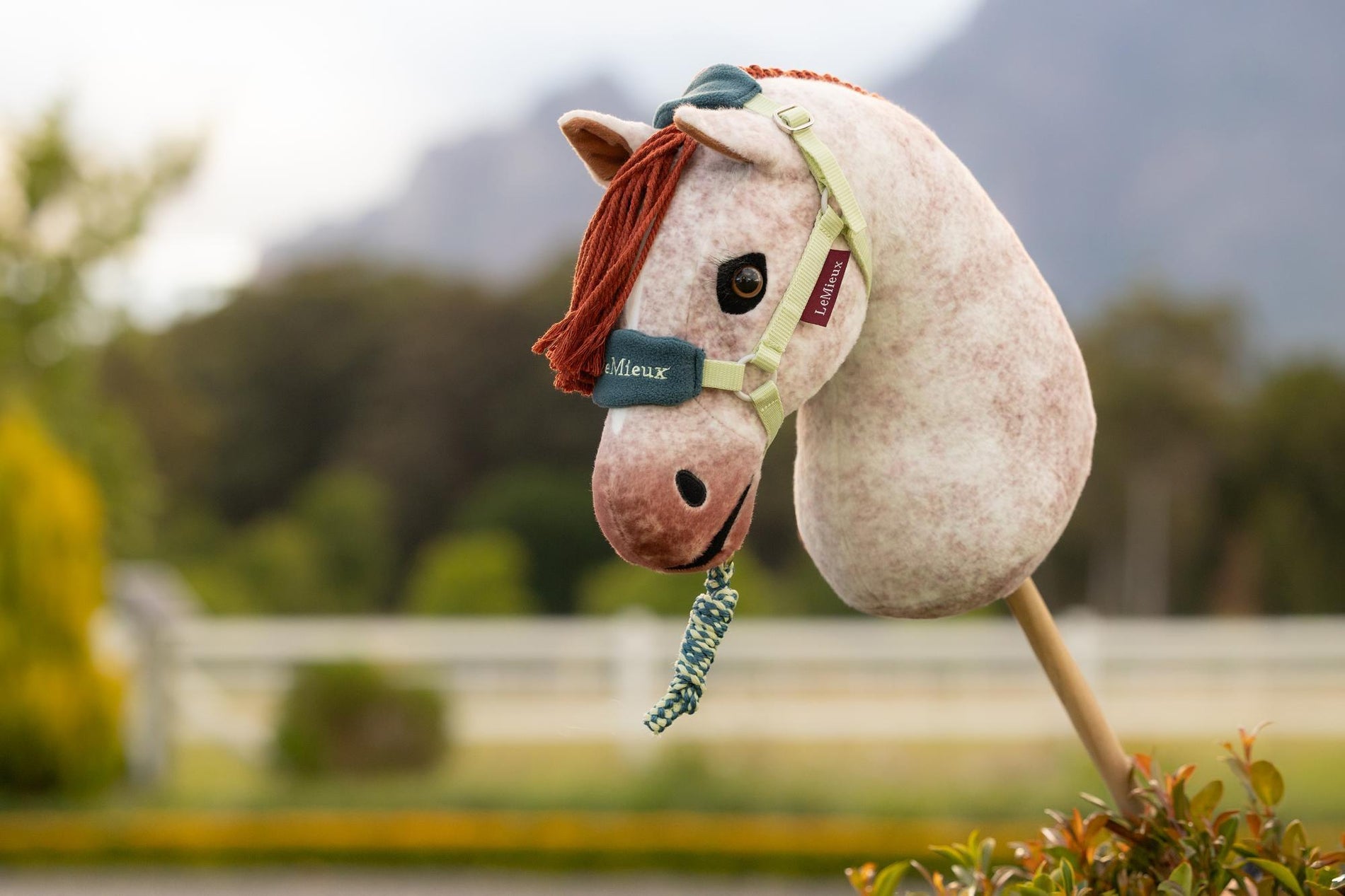 LeMieux Hobby Horse Headcollar