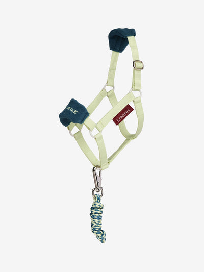 LeMieux Hobby Horse Headcollar