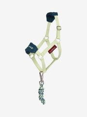 LeMieux Hobby Horse Headcollar