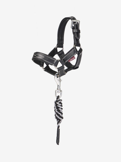 LeMieux Toy Pony Leather Headcollar & Leadrope