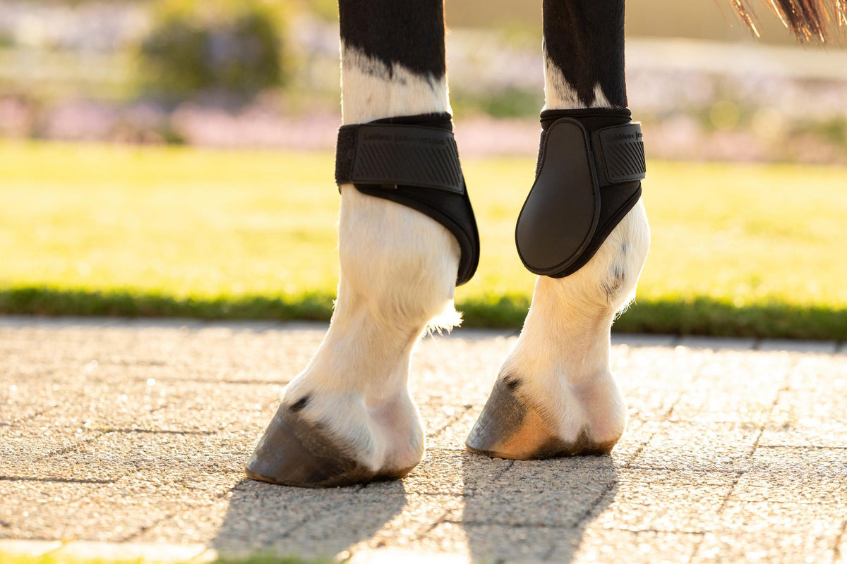 LeMieux Arika Fetlock Boot