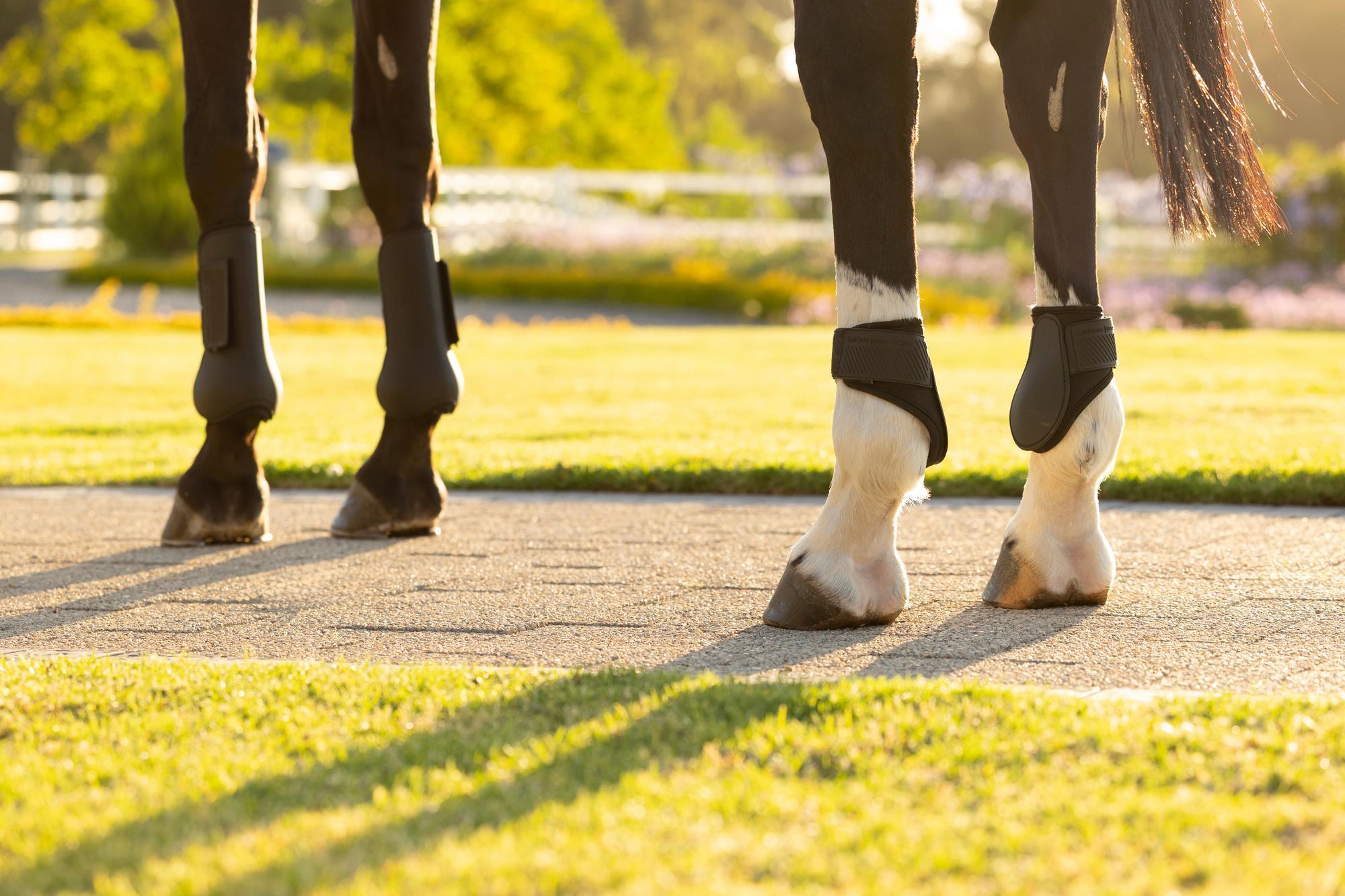 LeMieux Arika Fetlock Boot