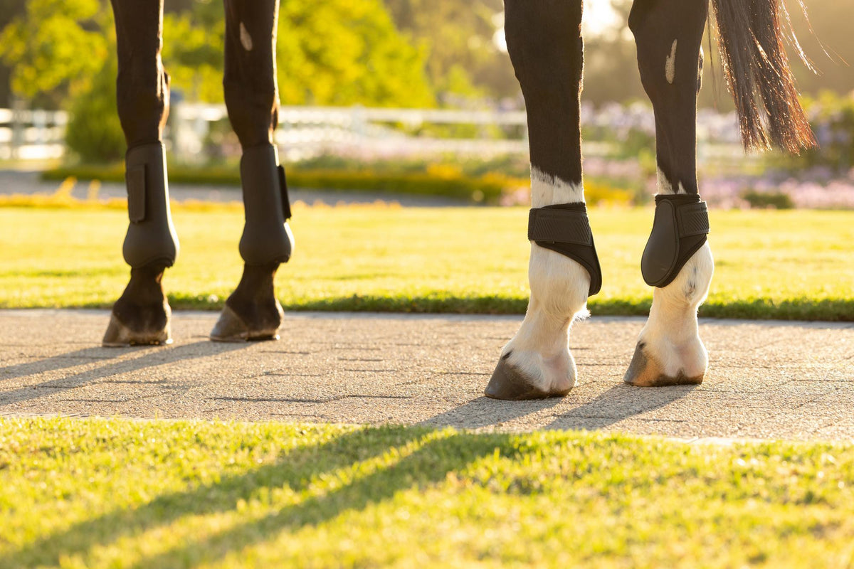 LeMieux Arika Fetlock Boot