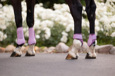 LeMieux Arika Fetlock Boot