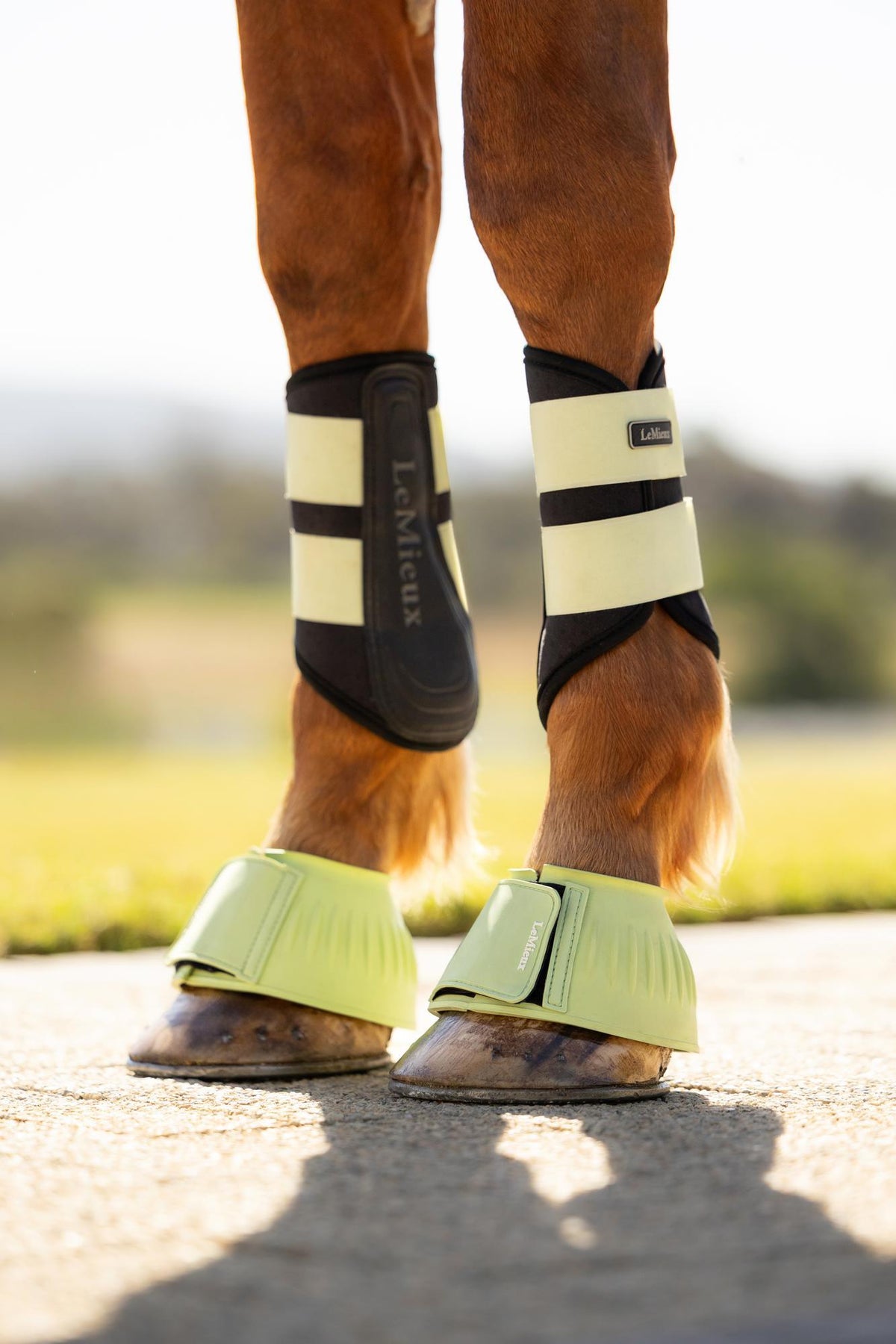 LeMieux Air-Tek Grafter Brushing Boot