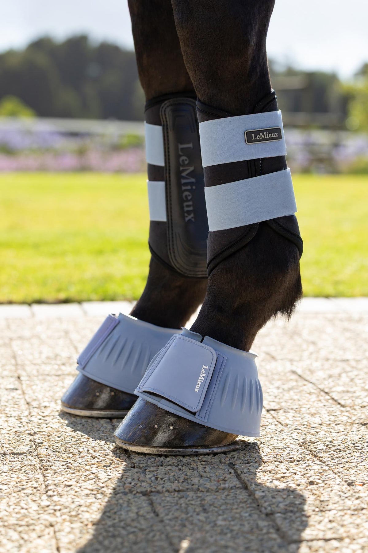 LeMieux Air-Tek Grafter Brushing Boot