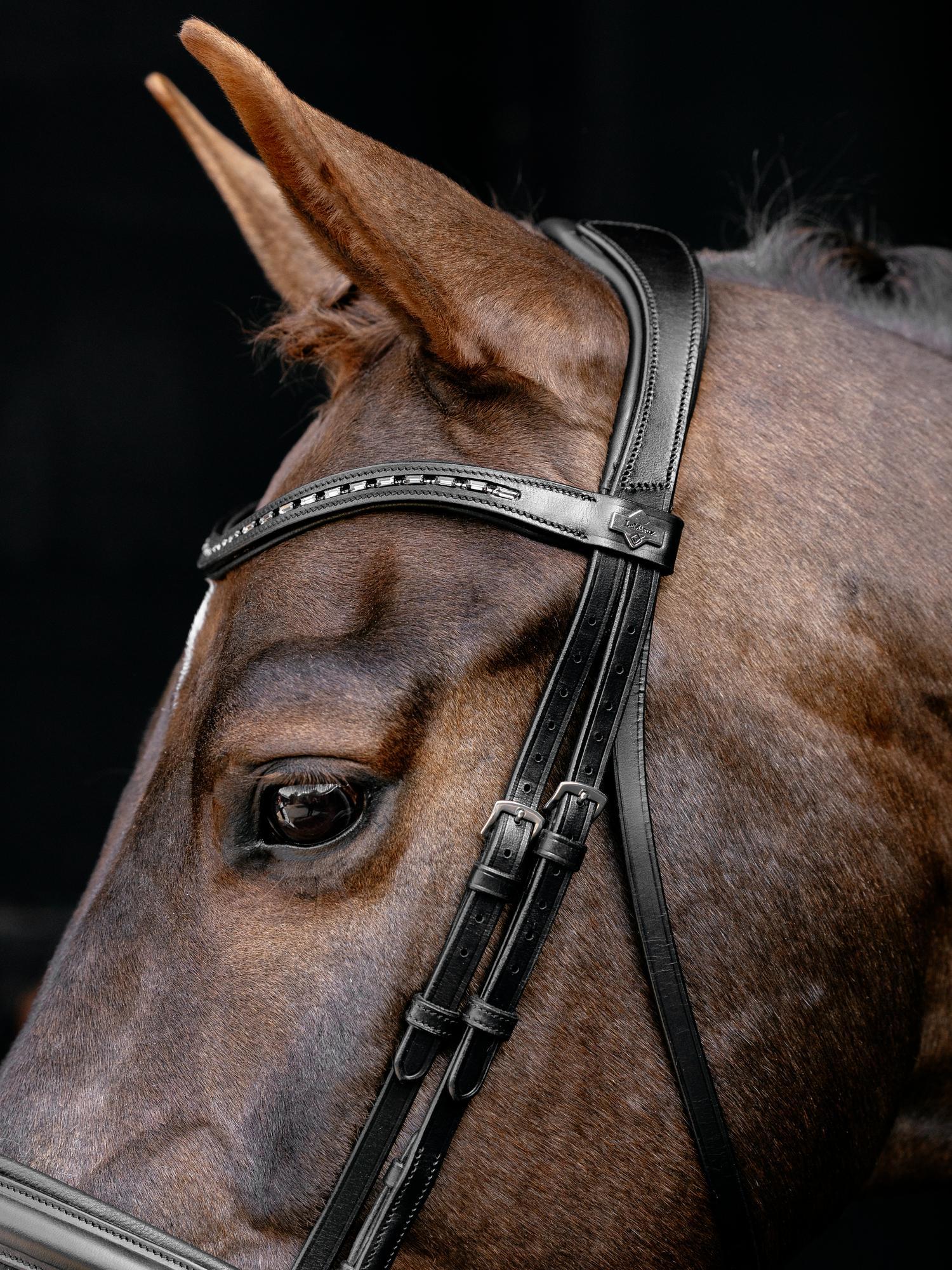 Arika Anatomic Dressage Bridle