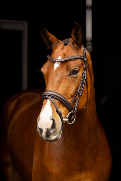 Arika Anatomic Dressage Bridle