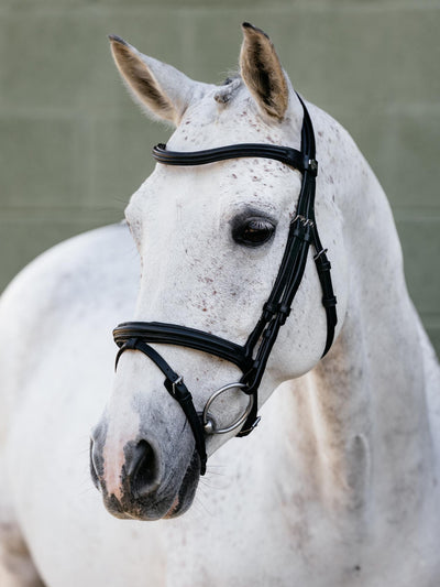 LeMieux Arika Anatomic Flash Bridle