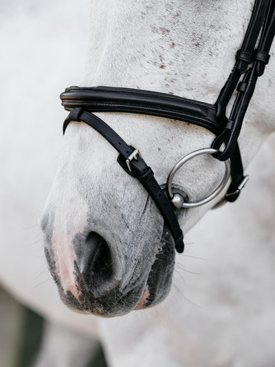 LeMieux Arika Anatomic Flash Bridle