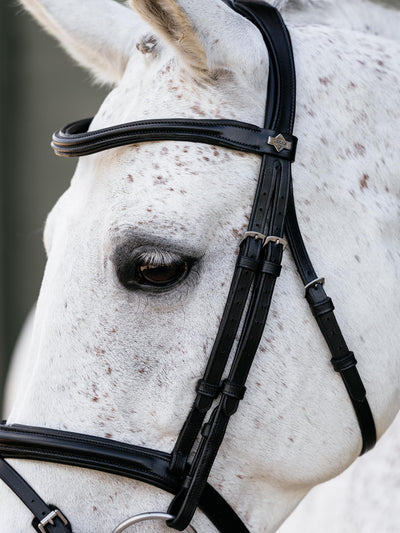LeMieux Arika Anatomic Flash Bridle