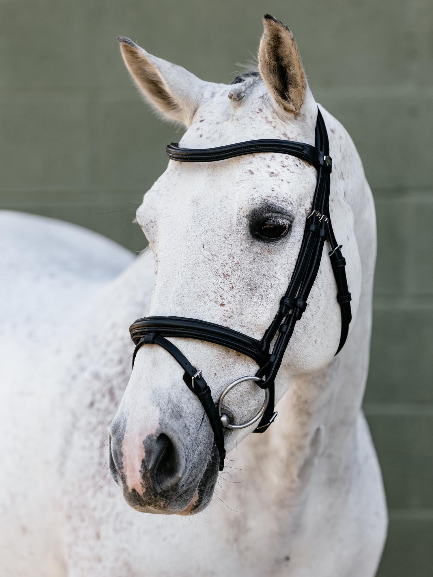 LeMieux Arika Anatomic Flash Bridle