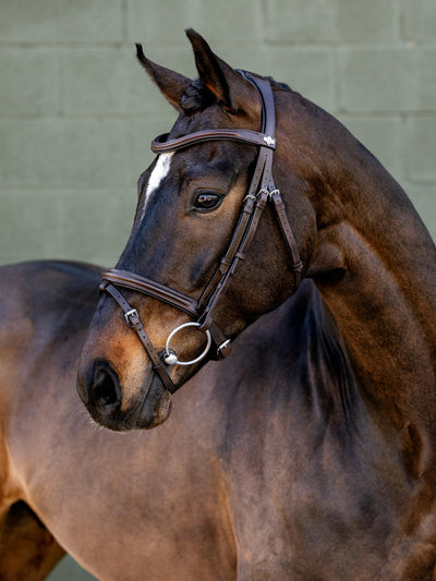 LeMieux Arika Anatomic Flash Bridle