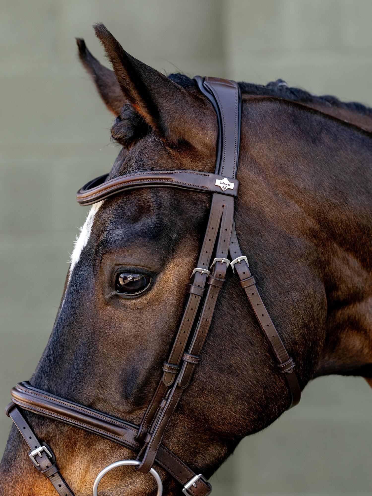 LeMieux Arika Anatomic Flash Bridle