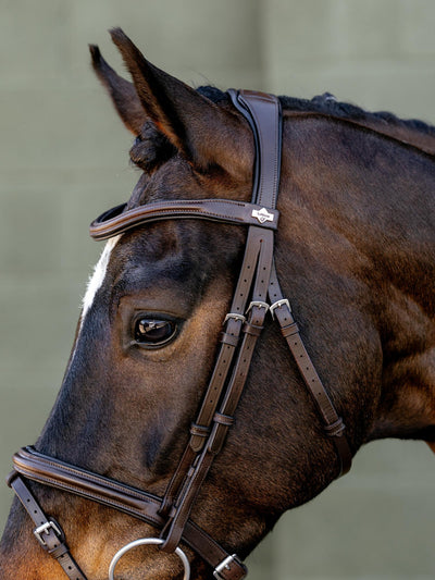 LeMieux Arika Anatomic Flash Bridle