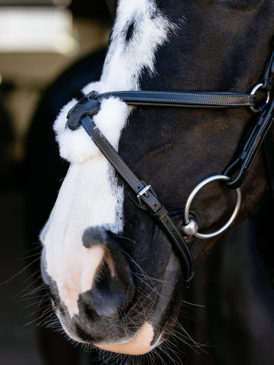 Arika Anatomic Grackle Bridle