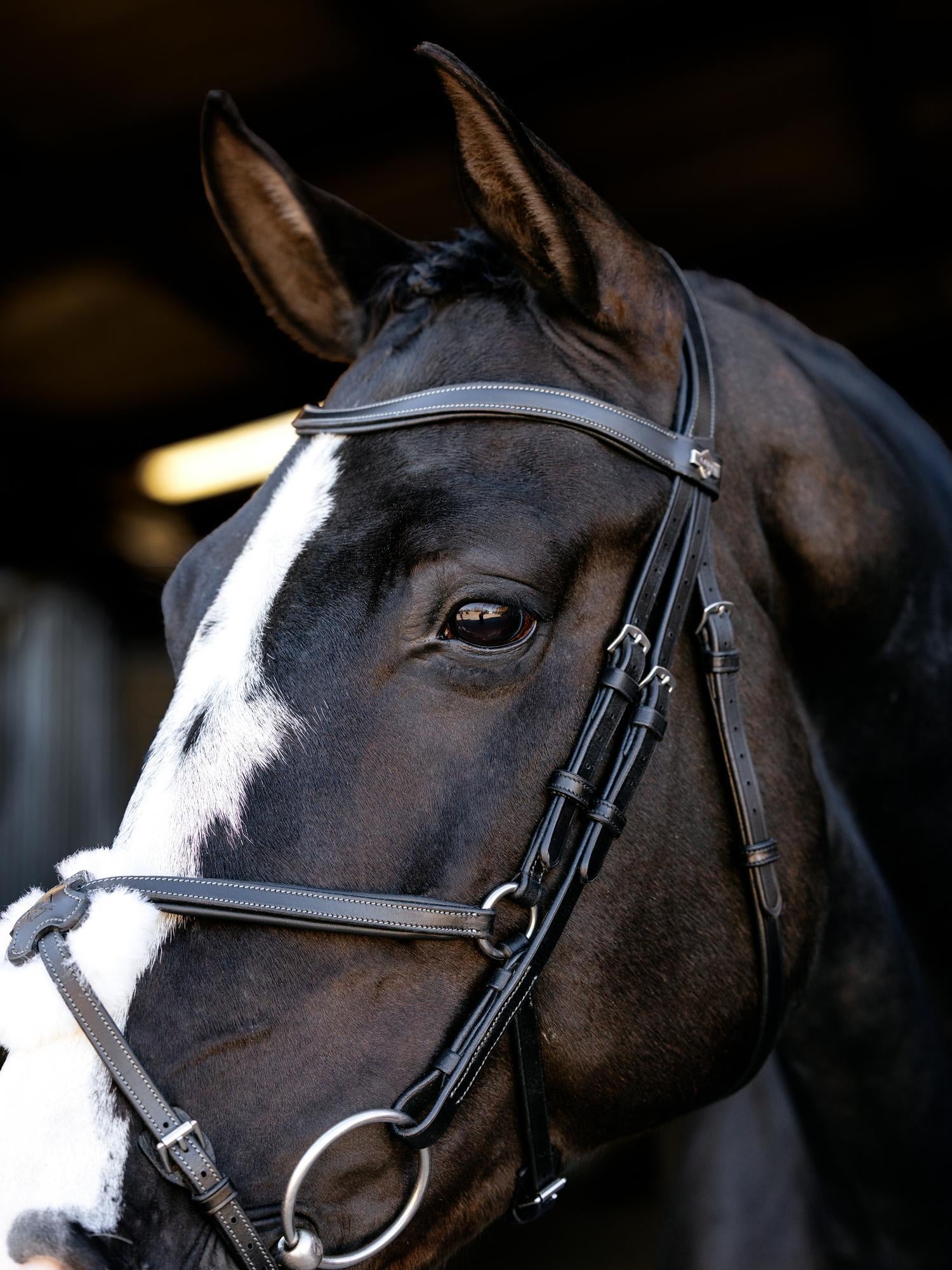 Arika Anatomic Grackle Bridle