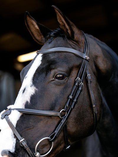 Arika Anatomic Grackle Bridle