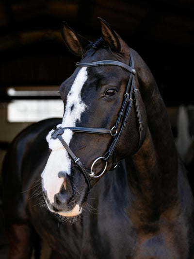 Arika Anatomic Grackle Bridle